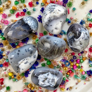 Grosse Opale Dendritique roulée (lâcher prise / équilibre émotionnel) pierres roulées [mes jolis cristaux]